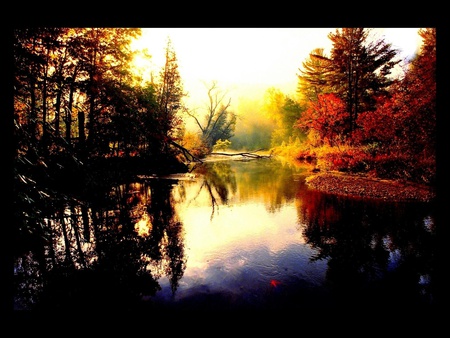 A Morning In Vermont - water, autum, lake, forest, tree, sun