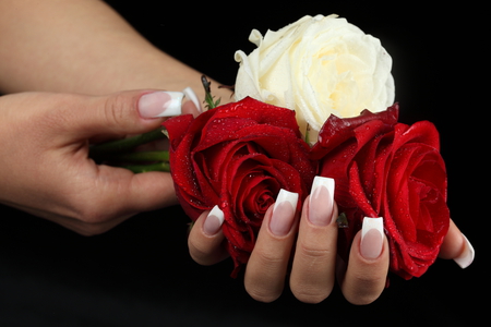 roses - elegantly, roses, beautiful, photography, girl, manicure, cool, gentle, hands, white, red, woman, rose, nice