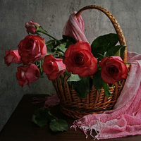 still life