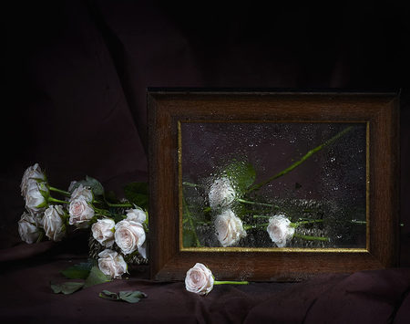 still life - roses, elegant, beautiful, photography, wet, photo, cool, flower, bouquets, still life, flowers, rose, frame drops, nice