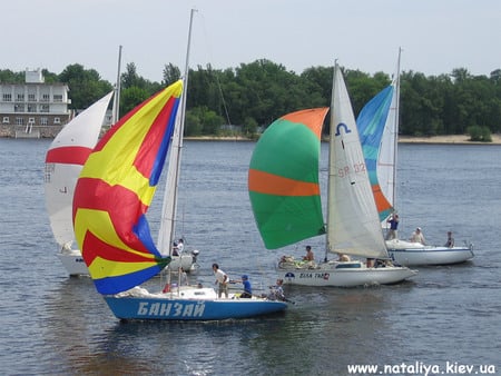 Colorful Sails - sailboats, sails, ocean, colorful