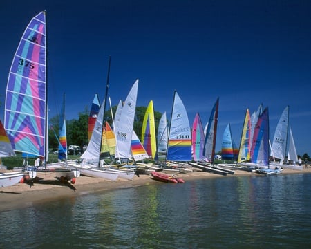 Sailboats at Gunpowder - colors, gathering, ocean, sails, sailboats