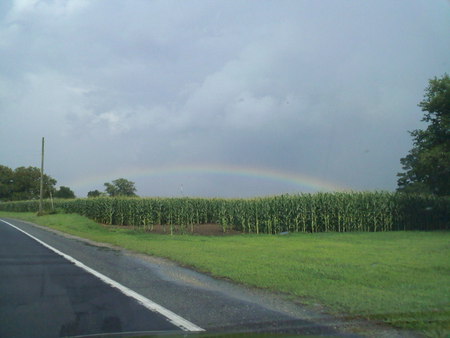 After the Rain - sky, rainbow, drive, fields