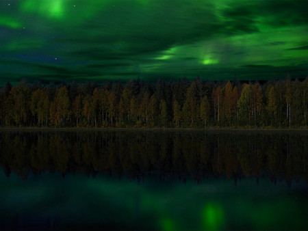 NORTHERN LIGHTS - forest, lights, northern, reflection, stars, night