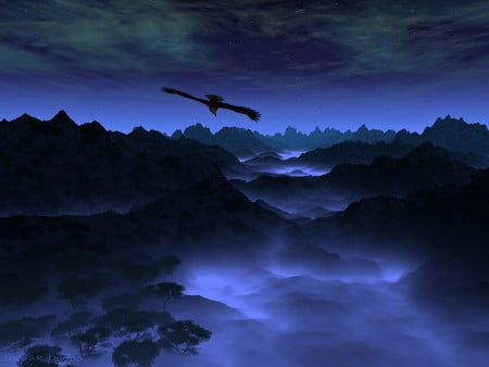 SOARING - sky, soaring, stars, trees, night, mountains, foggy, bird, blue