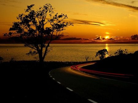 Autumn road - road, sunset, nature, tree