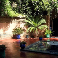 Zen Garden