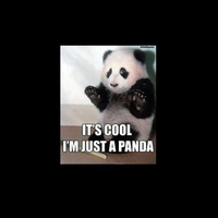 its cool im just a panda
