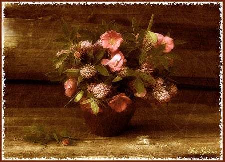 still life - art photo, nice, flowers, table, vase, still life