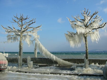 Power of the Nature - nature, ice, frozen, cold