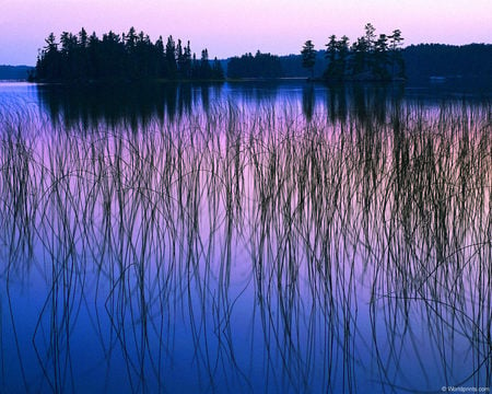 Still of the Evening - nature, amazing, lake, landscape, cool, beautiful, sunset