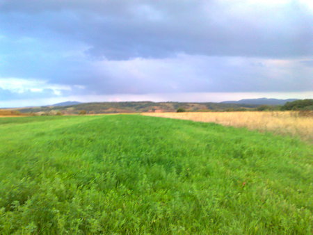 Colors of nature 2 - nature, colorfull, green field, field, beauty of nature