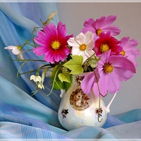 still life