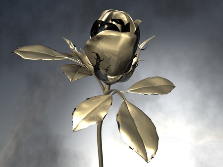 Golden Rose - beautiful, delicate, golden, rose, flower