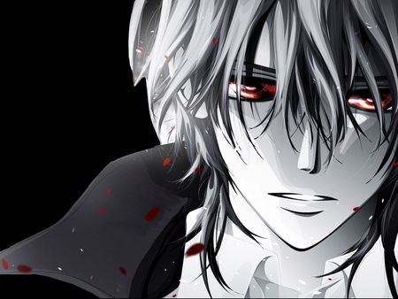 kaname  - blood, kaname, sad, zero, love, vampire knight