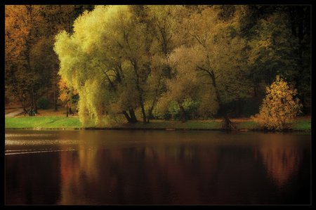 Autumn Reflection - art photo, small lake, reflection, beautiful, autumn fall, trees