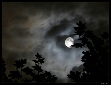 The Crescent Moon - moon, night sky, art photo, beautiful, full moon, clouds