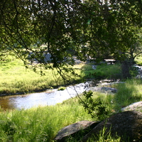 Perfect Picnic