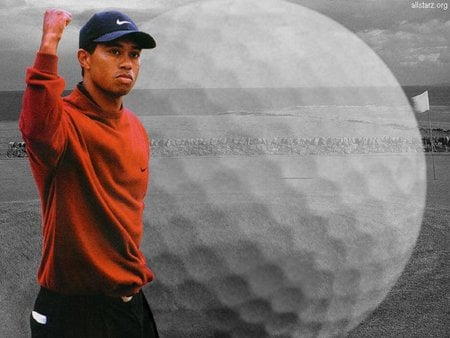 Tiger Wood - hard, male, green, ball, golf player, best