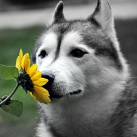 Stop and smell the flowers