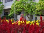 women behind the flower