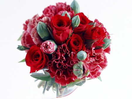 Red Posy - red, roses, pink, flowers, bouquet, colour, blooms, green