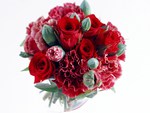 Red Posy