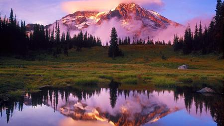 Golden Mountain - sky, purple, lake, mountain, forest, fog