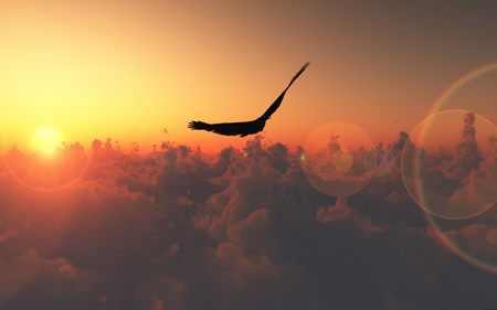 Freedom - clouds, birds, sunset, nature, amazing, beautiful, landscape, sky