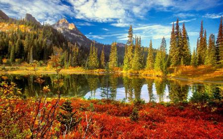 Beauty Lake Around The Nature - nature, sky, lake, forest, tree, autum