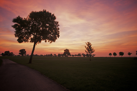 Red dawn - veterans, silhouette, beauty, sesons, park sunrise, morning, tree, dawn, popular, nature, red, places, sky