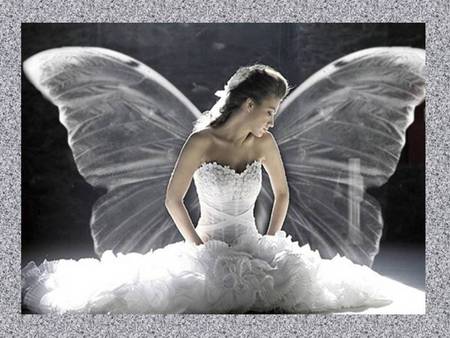 Angel bride - pretty, angelic, bride, angel