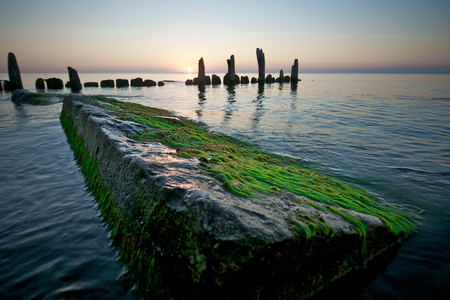 Vibrant Start - beginning, blue, sunrise, colors, morning, ocean, nature, green, sky