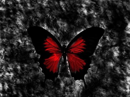 CRIMSON BUTTERFLY - butterfly, black, crimson, design