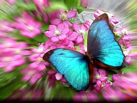 JADE BUTTERFLY - butterfly, flowers, colorful, jade