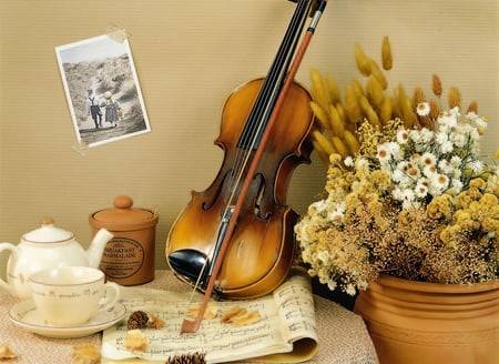 Still Life - flowers, vase, pretty, music, violin, photography, still life, cup