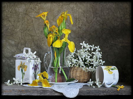 still life - nice, photography, water, bouquet, basket, still life, white, yellow, cool, irises, harmony, cup, beautiful, jug, flowers, photo, flower