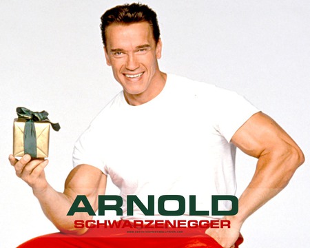 Arnold Schwarzenegger - actor, hollywood, arnold, movies