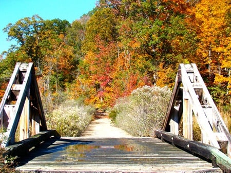 A Bridge to Autumn - nature, autumn, trees, color, road, bridge