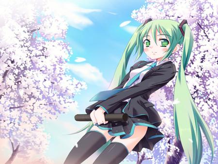 Hatsune Miku - pretty, tie, blushing, anime, vocaloid, kawaii, twintail, cherry blossom trees, hatsune miku, blue hair, nice, sky, blue eyes, clouds, sunlight, trees, sakura, skirt, beautiful, thighhighs, beauty, cool, diploma, sakura trees, miku, awesome, cute, hatsune, vocaloids