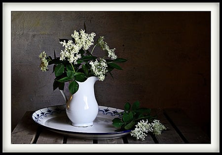 still life 1 - white, art photo, nice, platte, flowers, vase, still life