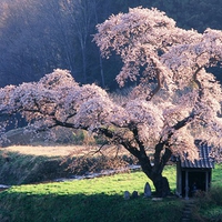 Spiritual Retreat