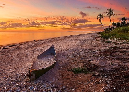 Remnants - disrepair, old boat, palm trees, beach, sunset, ocean