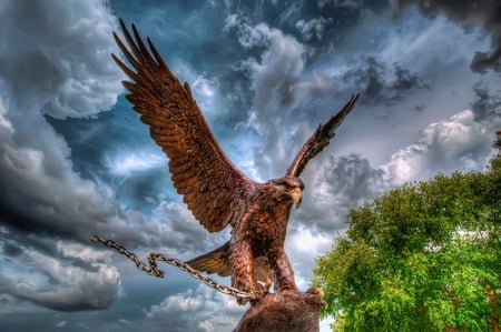 Eagle - beauty, sky, statue, trees, chain, bird, eagle, beautiful, clouds, leaves, green, tree, colors, birds