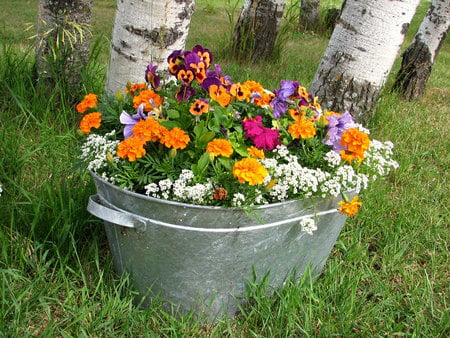 colorful bouquet for mischievouskitten - pot, flowers, colorful, beautiful, art photo