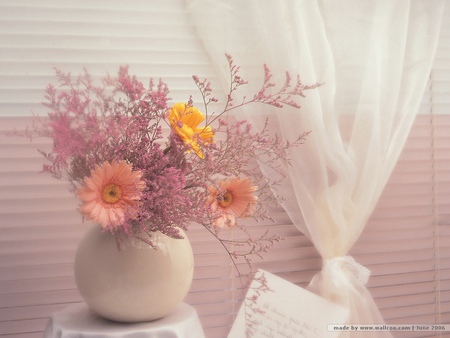 still life 1 - nice, still life, vase, white, art photo, gerbera, table, flowers, little