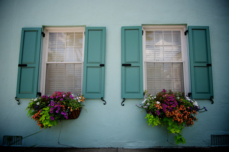 Southern Charm - places, beauty, flowers, colours, arhitecture, historic, windows, blue