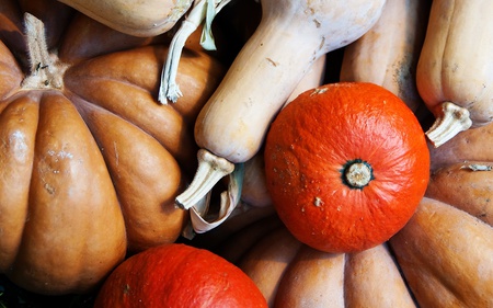 Pumpkins - pumpkins, photography, orange, abstract, pumpkin