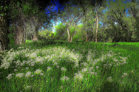 Green - spring, warm, nature, green