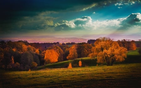 BURNING AUTUMN - clouds, fall, trees, autumn, green, field, orange, sky